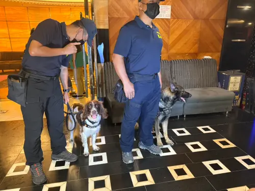 ▲保安警察第三總隊專業緝毒犬Mass及可樂也加入這次查緝行動,以有效遏止各類毒品危害。(圖/高市警局提供) ▲保安警察第三總隊專業緝毒犬Mass及可樂也加入這次查緝行動,以有效遏止各類毒品危害。(圖/高市警局提供)