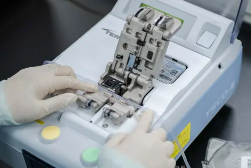 仲恩生醫完成小腦萎縮症新藥文件　力拚2026取日本暫時性藥證
