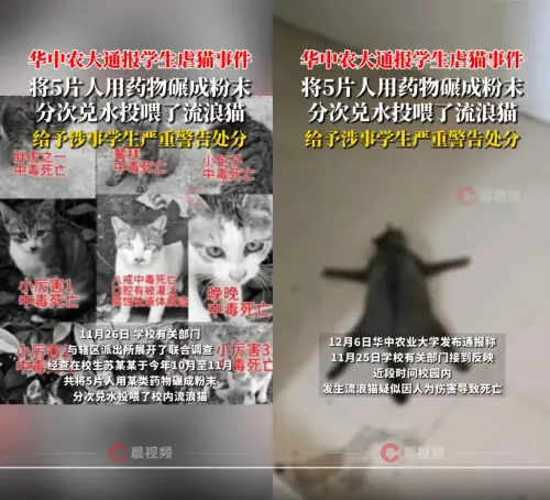 ▲中國華中農業大學2024年爆出虐殺流浪貓事件,虐貓犯蘇志鵬今年考公務員時,遭網友起底檢舉,當地人社局證實因道德品行問題,取消錄用資格。圖為蘇志鵬在社群發「打野日記」貼文,校內學生調查發現照片上浪貓遭到毒殺。(圖/翻攝自微博) ▲▲中國華中農業大學2024年爆出虐殺流浪貓事件,虐貓犯蘇志鵬今年考公務員時,遭網友起底檢舉,當地人社局證實因道德品行問題,取消錄用資格。(圖/翻攝自微博)