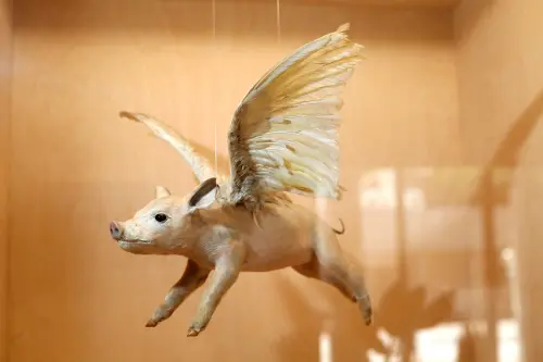 ▲「必可飛」劇場名稱取自一件「插上鳥類翅膀的小豬標本」，意味著「夢想雖然遙遠，努力去做，不可能也會變成可能」。（圖／科博館提供）(972.06 kb)