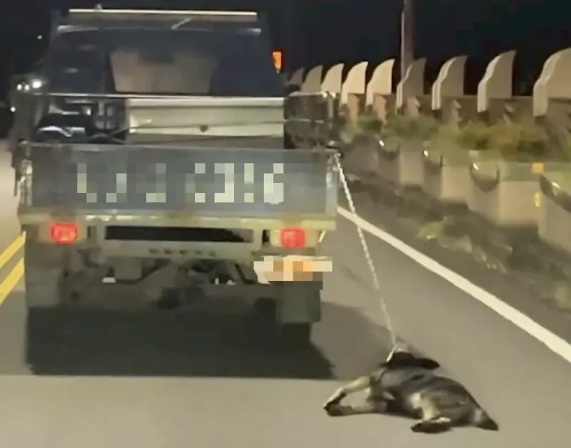 ▲一輛小貨車昨（30）晚被民眾目擊在開蘭橋一帶，車尾綁著一隻黑狗沿路行駛，狗狗明顯體力不支、無力掙扎，全身傷痕累累、癱軟被拖行。（圖／翻攝自Threads）