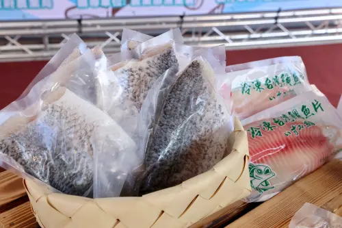 ▲這次出口到新加坡的台灣鯛產品包含魚排、帶皮魚片、整條的條凍，適合火鍋及各式料理。(圖／南市府提供)