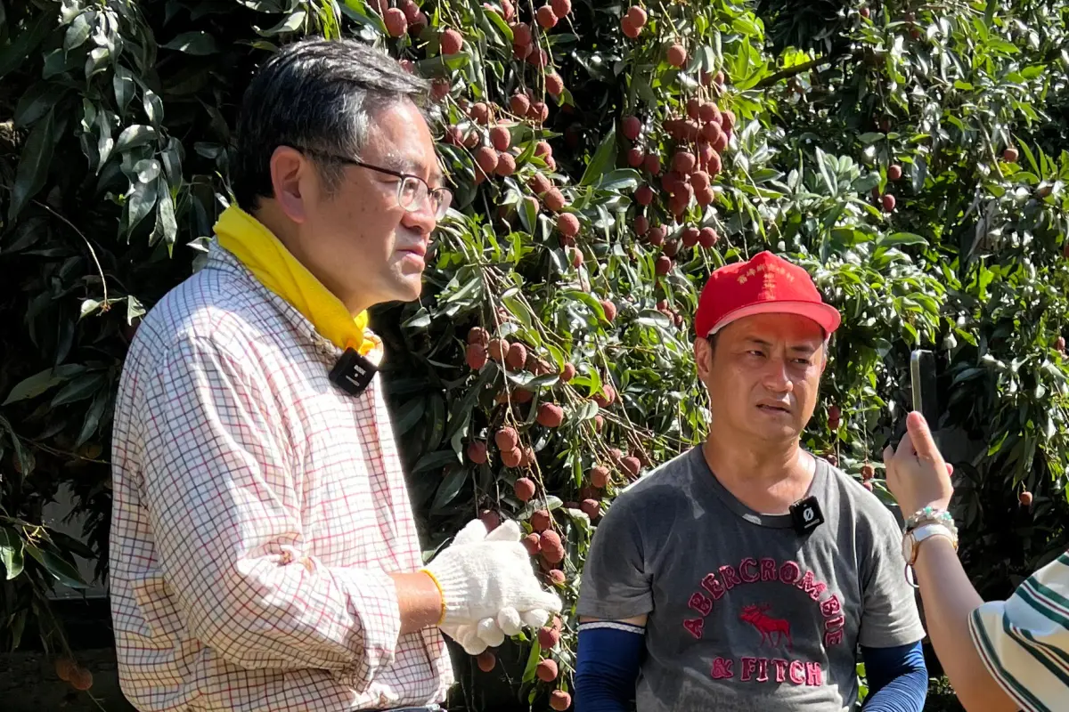 ▲霧農大叔拜訪荔枝青農，教大家如何吃荔枝不上火(圖／台灣農創提供2025.7.2)