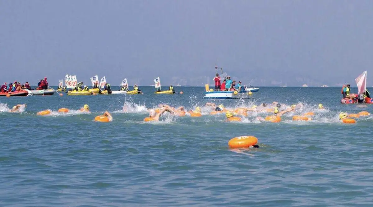 ▲金廈泳渡傳出遭中央「喊卡」。（圖／翻攝自金門市府觀光處官網）