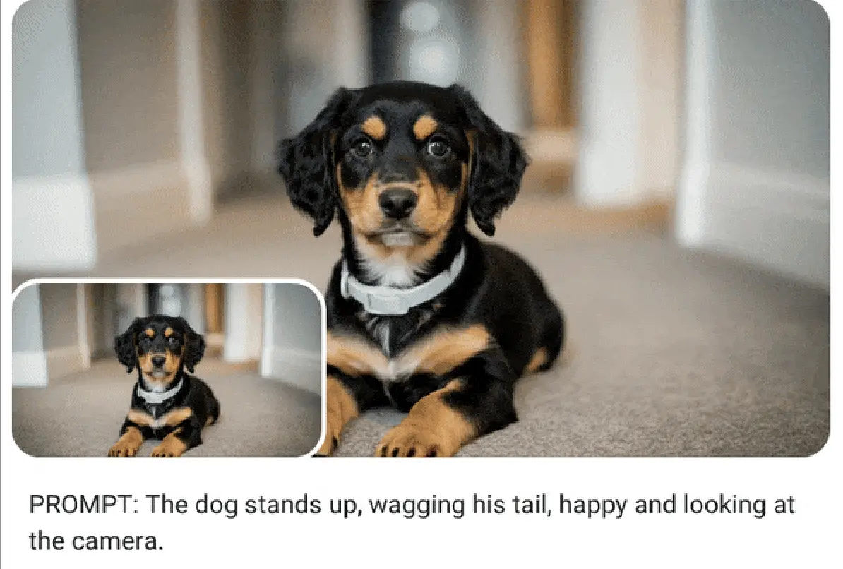 ▲Google官方宣布，Veo 3正式導入台灣，只要輸入文字或圖片，就能生成最長8秒、720p短片，並自動加入角色對白、背景音效與配樂。（圖／翻攝官網）