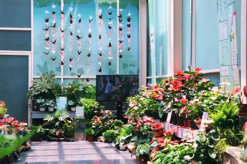 ▲展場模擬雨林的不同層次，策展團隊結合竹編、枯木與自然植栽素材，呈現生機盎然的繽紛花海。（圖／科博館提供）(2908.35 kb)