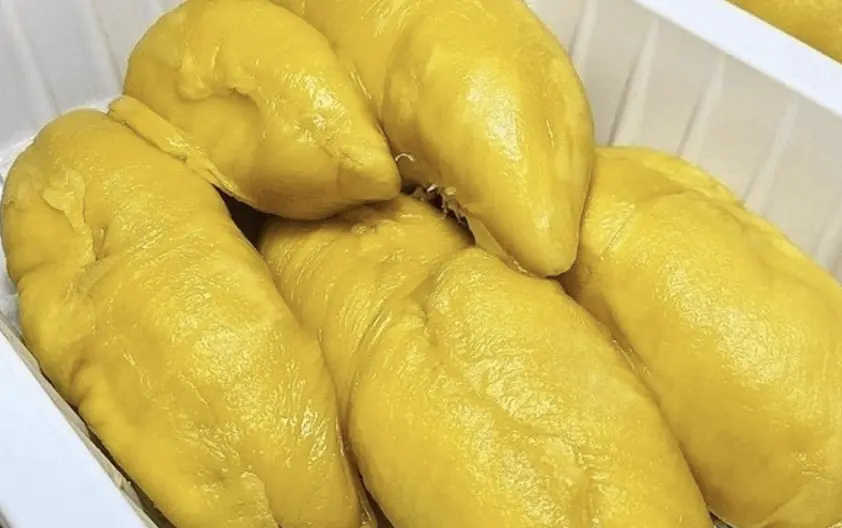 ▲大馬景點開放7月31日至8月3日的「榴槤吃到飽」自助餐，一人只要23美元（約新台幣660元）。