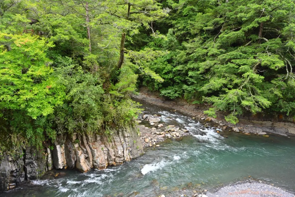 ▲武陵農場6日中午12時預警性休園。（圖／取自武陵農場粉專）