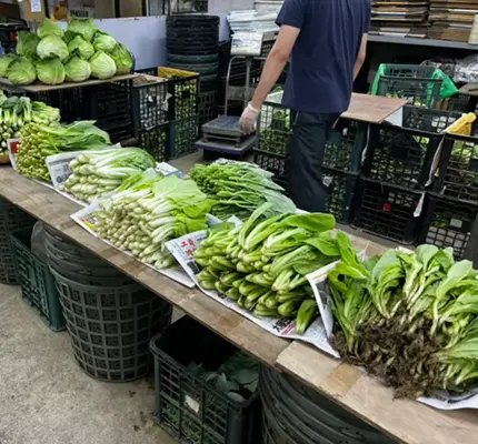 颱風搶菜價狂飆！高麗菜最扯