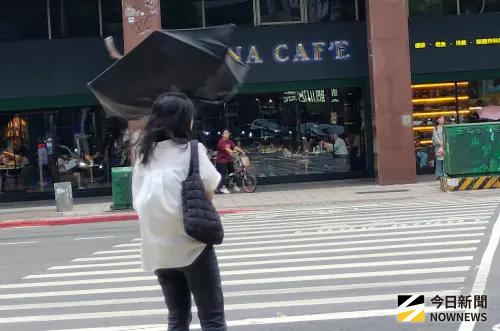 颱風停班停課科技業仍要上班!網問可不出勤嗎?答案一面倒