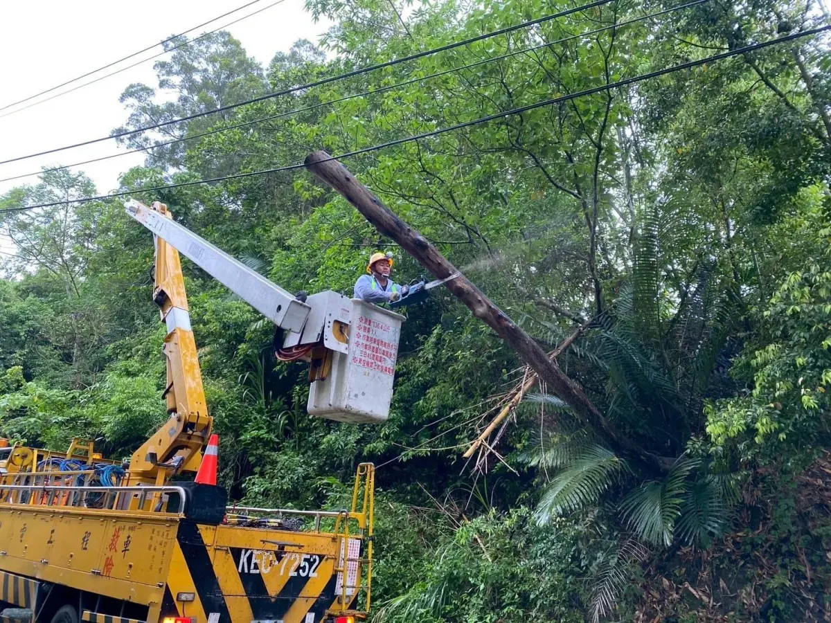 ▲為避免樹枝碰觸壓損線路，台電人員於雲林縣古坑地區進行樹木修剪作業。（圖／台電）