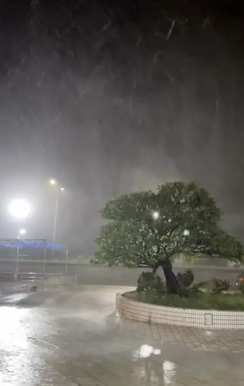 ▲（圖／翻攝自Threads＠misameng_）