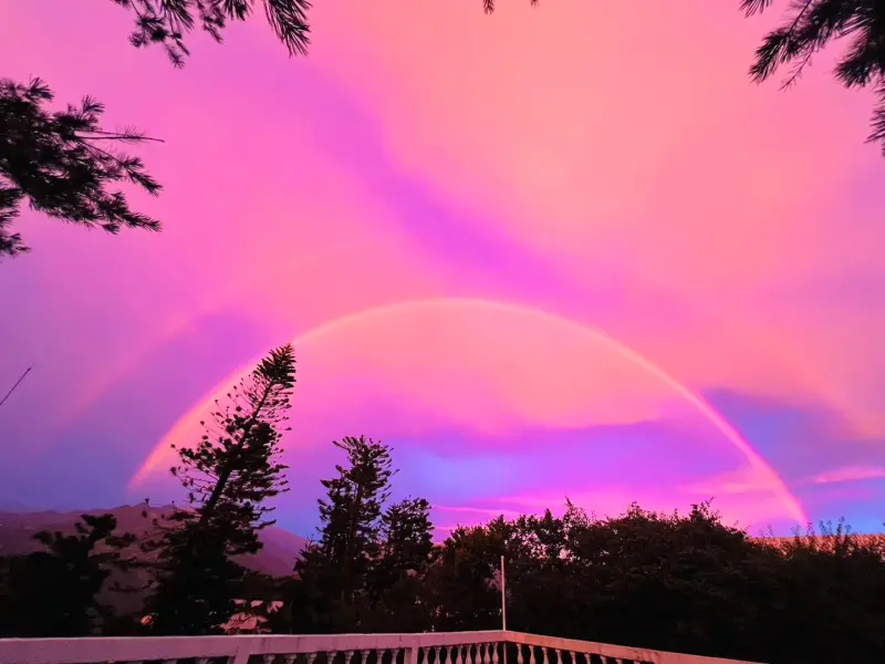 ▲南投縣仁愛鄉清境農場今（6）日傍晚出現了獨特景象，天空中竟呈現夢幻般的紫色與粉紅色天空。（圖／清境農場臉書）