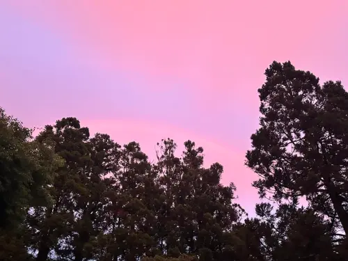 ▲颱風來臨前，雲層會將紅光反射過來，就更容易出現紫色、粉色黃昏。（圖／清境農場臉書）