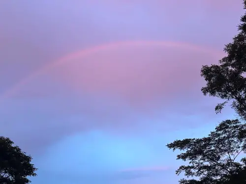 ▲清境農場今（6）日晚間在臉書粉絲團貼出該照片，農場員工在國民賓館目睹了奇景。（圖／清境農場臉書）