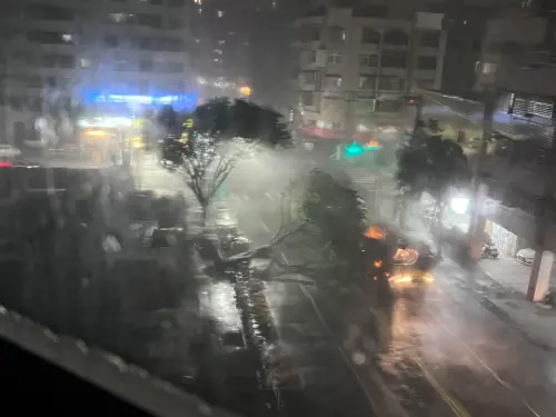 丹娜絲颱風擾台！強風狂灌高雄「路樹連根拔起」　倒路中雙線不通
