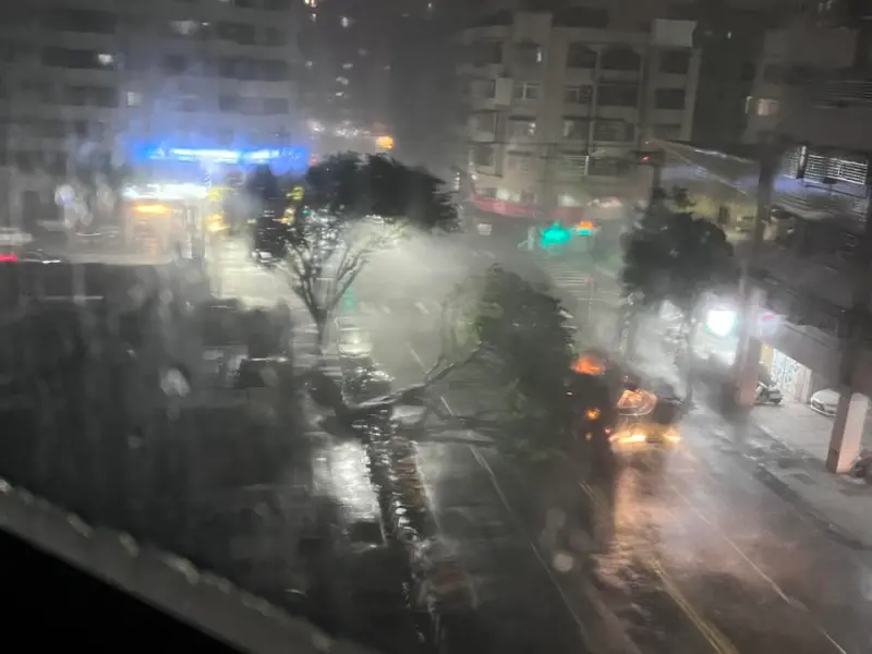 丹娜絲颱風擾台！強風狂灌高雄「路樹連根拔起」　倒路中雙線不通