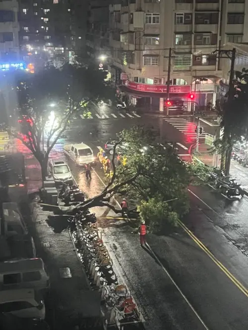 ▲高雄路樹遭強風吹倒路中。（圖／翻攝自臉書「左營楠梓人」網友授權）