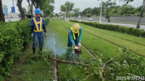 ▲高雄捷運今日一早，即派員清除輕軌沿線傾倒路樹。（圖／高捷）