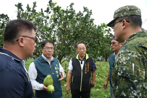 ▲ 市長黃偉哲與農業局長李芳林、下營區長李宗翰、麻豆區長楊政舉等人勘查下營、麻豆柚園受災損情況。(圖/南市府提供) ▲ 市長黃偉哲與農業局長李芳林、下營區長李宗翰、麻豆區長楊政舉等人勘查下營、麻豆柚園受災損情況。(圖/南市府提供)