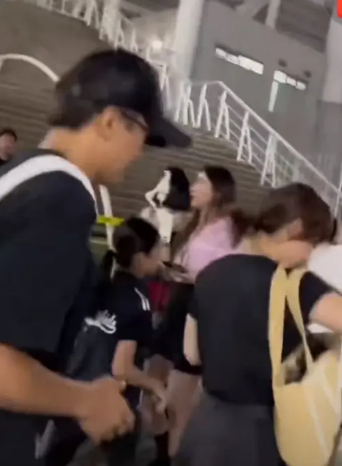 ▲鄧超和孫儷打扮非常低調仍被網友認出。（圖／翻攝自微博）