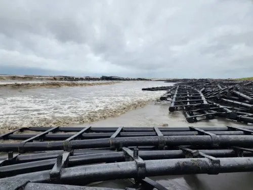 中國光電出口退稅4月喊卡　台灣廠商「壓力有望鬆動」

