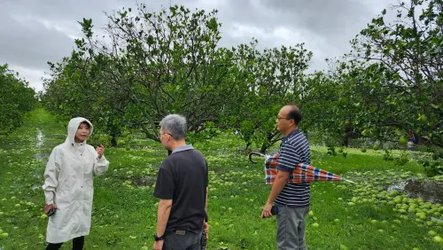 ▲陳亭妃已提出建議，盼請國軍協助地方進行果園清理工作，以減輕農民負擔並保護農業生產環境。（圖／陳亭妃提供）