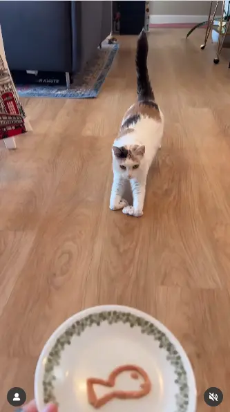 ▲(圖/翻攝自IG@juniebskis) ▲(圖/翻攝自IG@juniebskis)