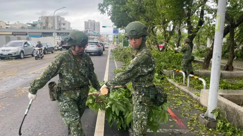 砲訓部協助永康地區協助清運傾倒路樹 ▲砲訓部協助永康地區協助清運傾倒路樹。(圖/記者莊全成翻攝)