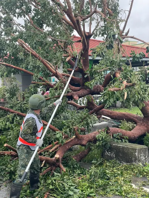 砲訓部官兵至七股區南31號道路週邊,將倒塌樹木移除 ▲砲訓部官兵至七股區南31號道路週邊,將倒塌樹木移除。(圖/記者莊全成翻攝)