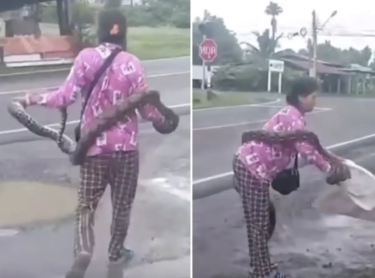 ▲泰國一名57歲婦人徒手抓蛇，在網路爆紅。（圖／翻攝自mustsharenews）