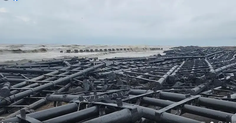 屏東佳冬光電場被吹爆！藍委怒：丹娜絲颱風讓台灣看見民進黨醜陋