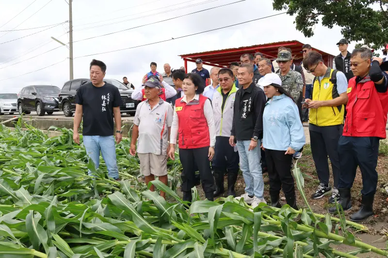 ▲雲林縣長張麗善和立委張嘉郡、丁學忠到各地區勘災，關心農損狀況。（圖／雲林縣政府提供）