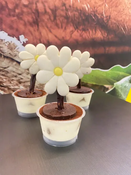 ▲IKEA小花蛋糕外型激似G-Dragon喜愛的雛菊花朵,花瓣是饅頭做的,加上淋有滿滿瑞典巧克力的椒鹽點心棒當作支架,底座盆栽是濃郁提拉米蘇。(圖/IKEA提供) ▲IKEA小花蛋糕外型激似G-Dragon喜愛的雛菊花朵,花瓣是饅頭做的,加上淋有滿滿瑞典巧克力的椒鹽點心棒當作支架,底座盆栽是濃郁提拉米蘇。(圖/IKEA提供)