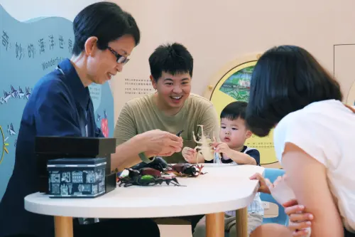 ▲科博館幼兒科學園，是國內少數專為3足歲至小學低年級兒童設計的自然科學教育空間，受到幼教界與家長肯定。（圖／科博館提供）