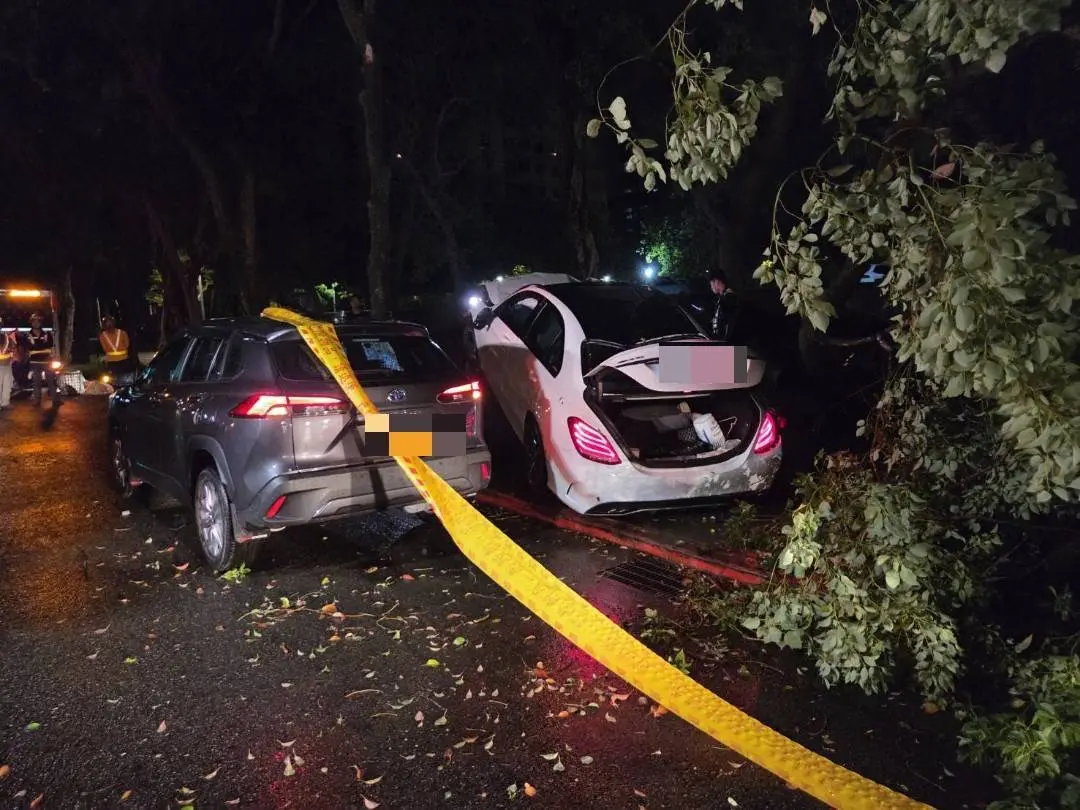 ▲白色賓士先撞下車休息的多元計程車司機，再衝撞路樹嚴重毀損。（圖／翻攝畫面）