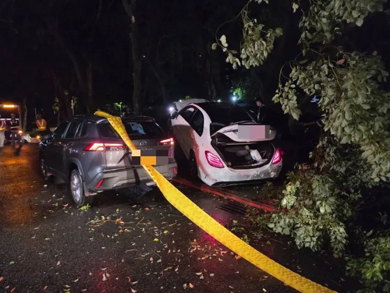 運將下車抽菸遭撞死　600萬賓士撞路樹全毀駕駛肇逃