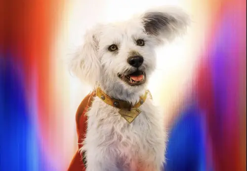 ▲「超狗」氪普托看來可愛，脾氣卻沒有很好，而且戰鬥力極強，能造成敵人損傷。（圖／摘自IMDb）