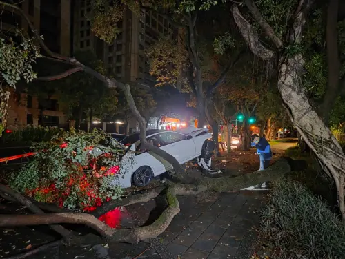 運將下車抽菸遭撞死 600萬賓士全毀駕駛肇逃 ▲白色賓士失控衝上人行道撞死運將後,駕駛逃離現場。(圖/翻攝畫面)