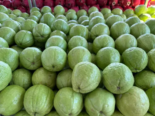 「這1國」年砸1.5億買芭樂！外銷佔比逾7成　去年賣了1823公噸
