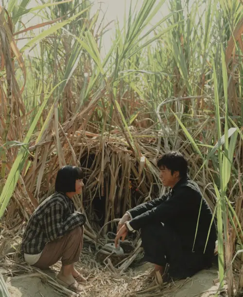 ▲《大濛》是擅拍喜劇的導演陳玉勳改變風格的作品。（圖／華文創提供）