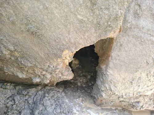 整建鼓山區日昌路排水涵管　不影響內惟黃昏市場營業
