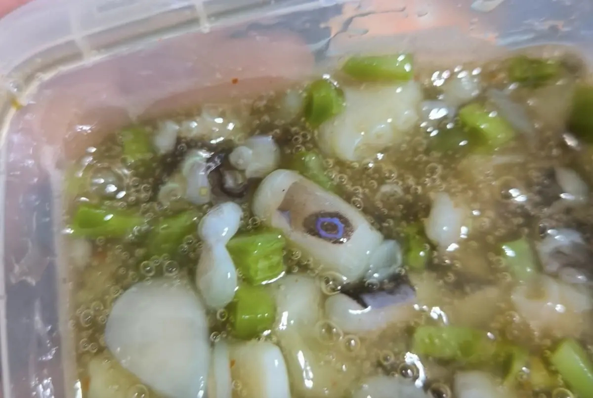 ▲高雄一名男子日前購買一盒芥末章魚回家食用，卻在進食過程中發現章魚腳表面出現藍色環狀斑紋，疑似是劇毒藍環章魚。（圖／取自「爆廢公社公開版」）