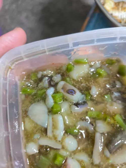 ▲芥末章魚吃到藍環章魚(圖/取自「爆廢公社公開版」) ▲芥末章魚吃到藍環章魚(圖/取自「爆廢公社公開版」)