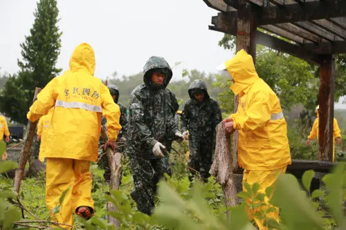 ▲嘉義竹崎鄉後備軍人輔導中心幹部協助災後復原。(圖/後備指揮部提供) ▲嘉義竹崎鄉後備軍人輔導中心幹部協助災後復原。(圖/後備指揮部提供)