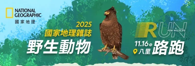 ▲國家地理雜誌野生動物路跑主視覺，由插畫家仲華繪製，透過俐落線條捕捉大冠鷲的神采，讓賽事兼具藝術與保育意義。（圖／主辦單位提供）