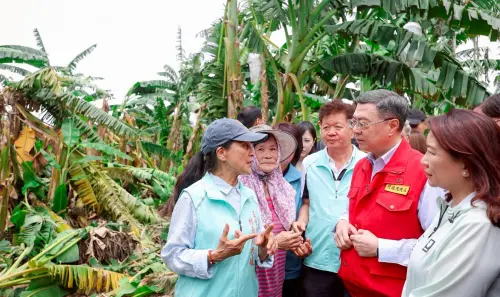 ▲颱風後南投縣香蕉作物倒伏嚴重，卓榮泰了解農民心聲。（圖／行政院提供，2025.07.11）