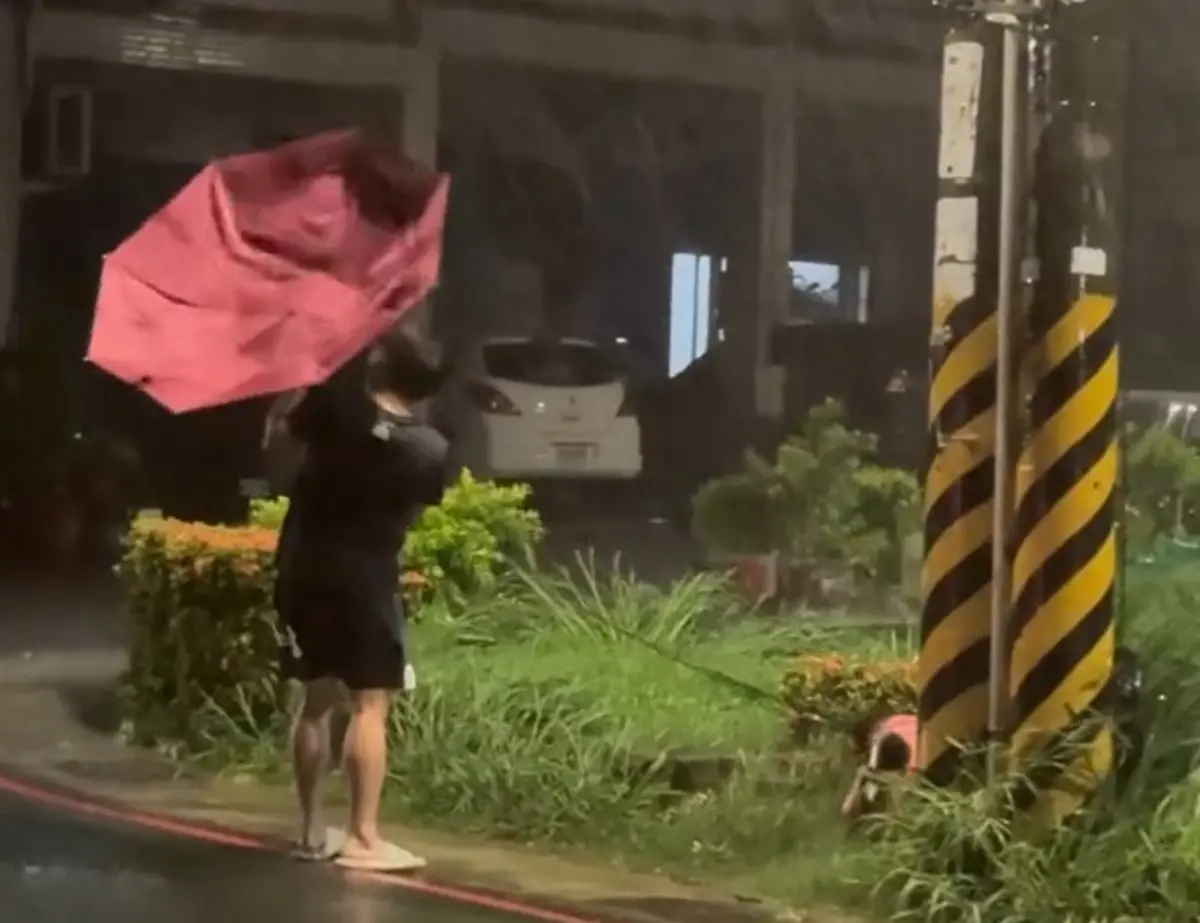 ▲丹娜絲颱風讓南台灣下起豪雨，但高雄有隻黑色柴犬不畏風雨堅持出門解放，奴才捨命相陪還遇上傘差點開花的慘劇，人柴兩濕的畫面在網路上引起討論。（圖／Threads@chen.12.30授權提供）