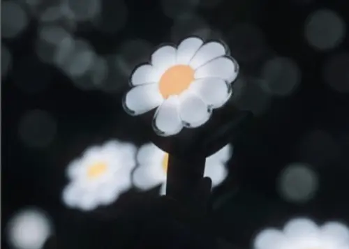 ▲雛菊造型手燈是這次GD權志龍在台演唱的周邊商品中最為熱銷的款項之一，也到了下午都還有存貨。（圖／摘自xxxibgdrgn IG）