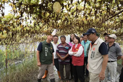 ▲全縣農業受損面積達1,188.61公頃，作物涵蓋香蕉、檸檬、番石榴、紅龍果、瓜果、豆類、花卉與蔬菜等。（圖／屏東縣府提供）